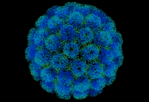 Coronavirus - séquences pandémiques montrant l'impact de COVID-19.