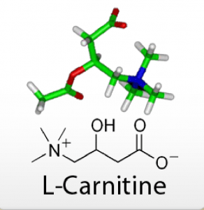 Molécule de L-carnitine - composé, acide aminé.
