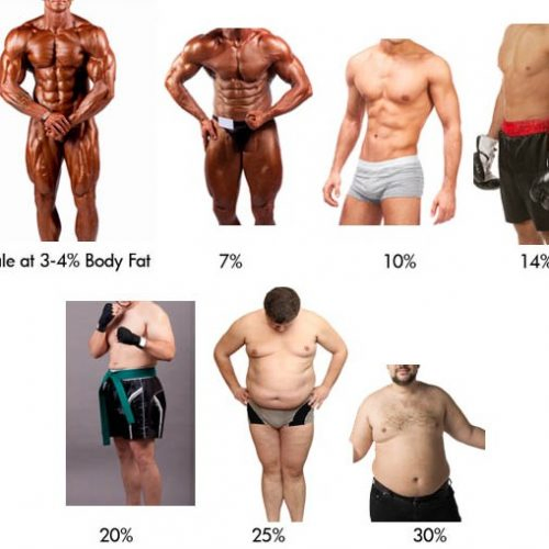 Hommes, pourcentages de graisse corporelle.