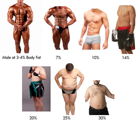 Hommes, pourcentages de graisse corporelle.