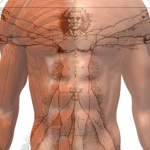 La mesure de la composition corporelle complète est présentée dans une illustration 3D.