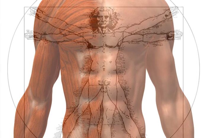 La mesure de la composition corporelle complète est présentée dans une illustration 3D.