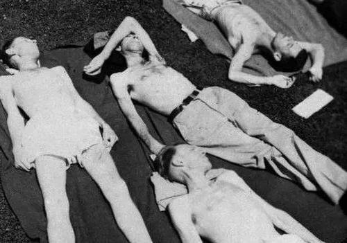Quatre personnes en train de bronzer sur des couvertures ; deux allongés sur le dos, un sur le ventre, un assis, tous en tenue d'été décontractée.